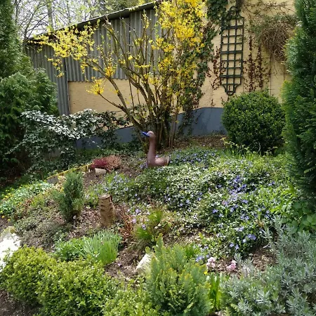 Hébergement de vacances Ferienwohnung Heidnerhof Kempenich
